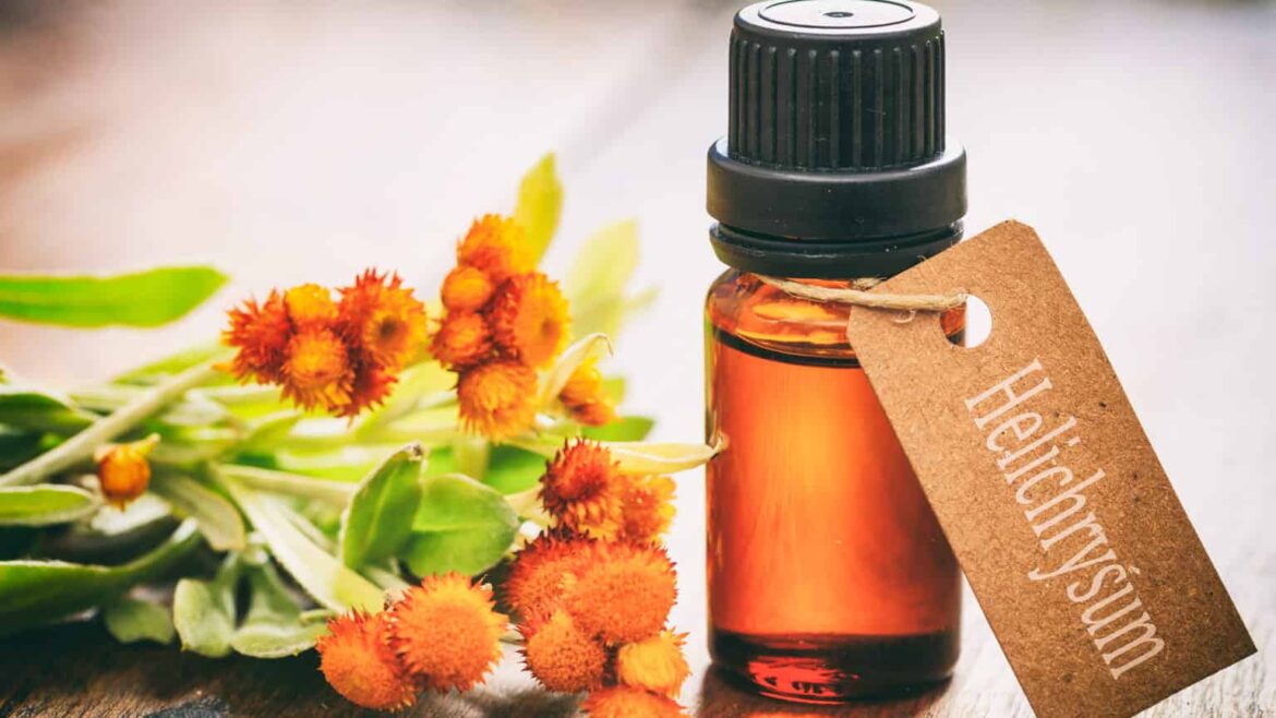 Helichrysum Oil